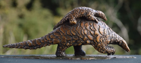 Thumbnail: Sarah Richards - Pangolin - 25 of 30