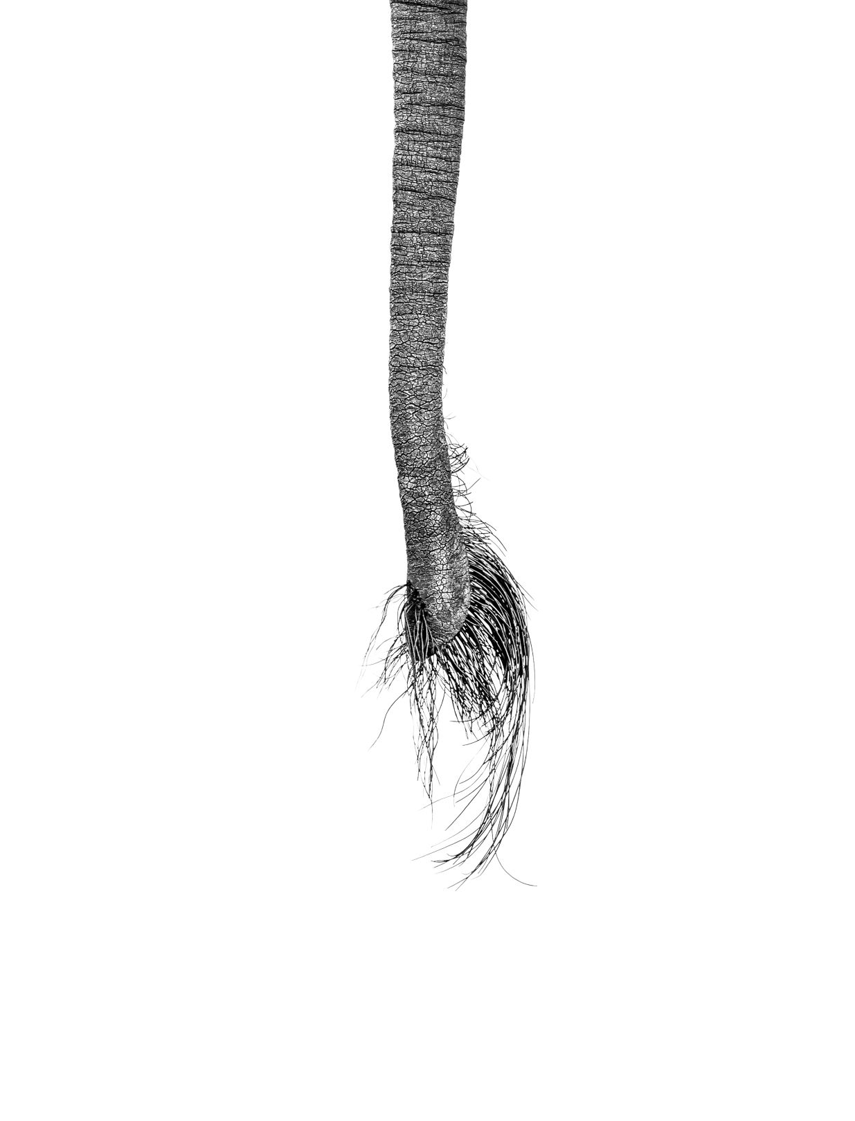 HANNES LOCHNER