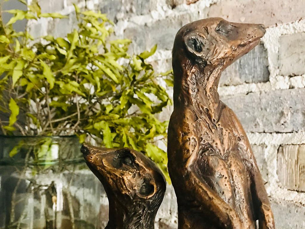 Thumbnail: Sarah Richards - Meerkat Neighbourhood Family 10 of 20