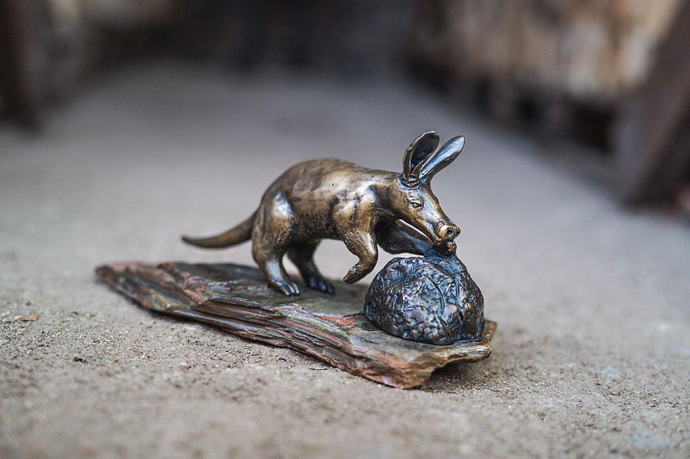 Thumbnail: Johan Van Der Merwe - Aardvark - Edition 1 of 25