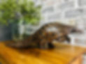 LUNGISA KALA - PANGOLIN 600 A.jpeg