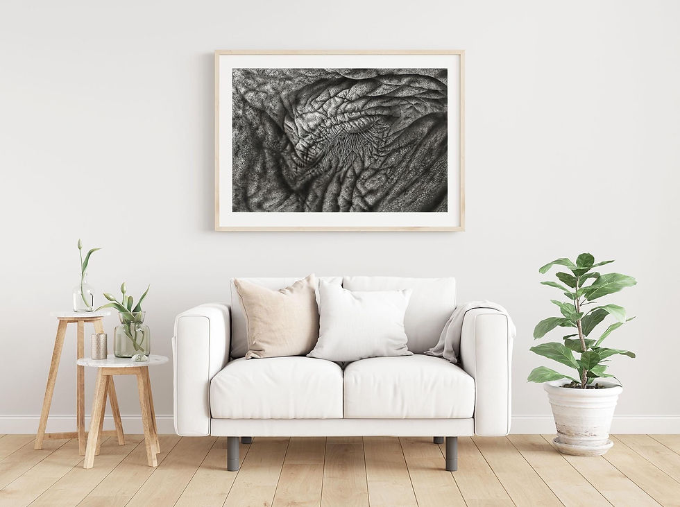 Thumbnail: Fiona Goldthorpe -  Elephant Eye - Silently