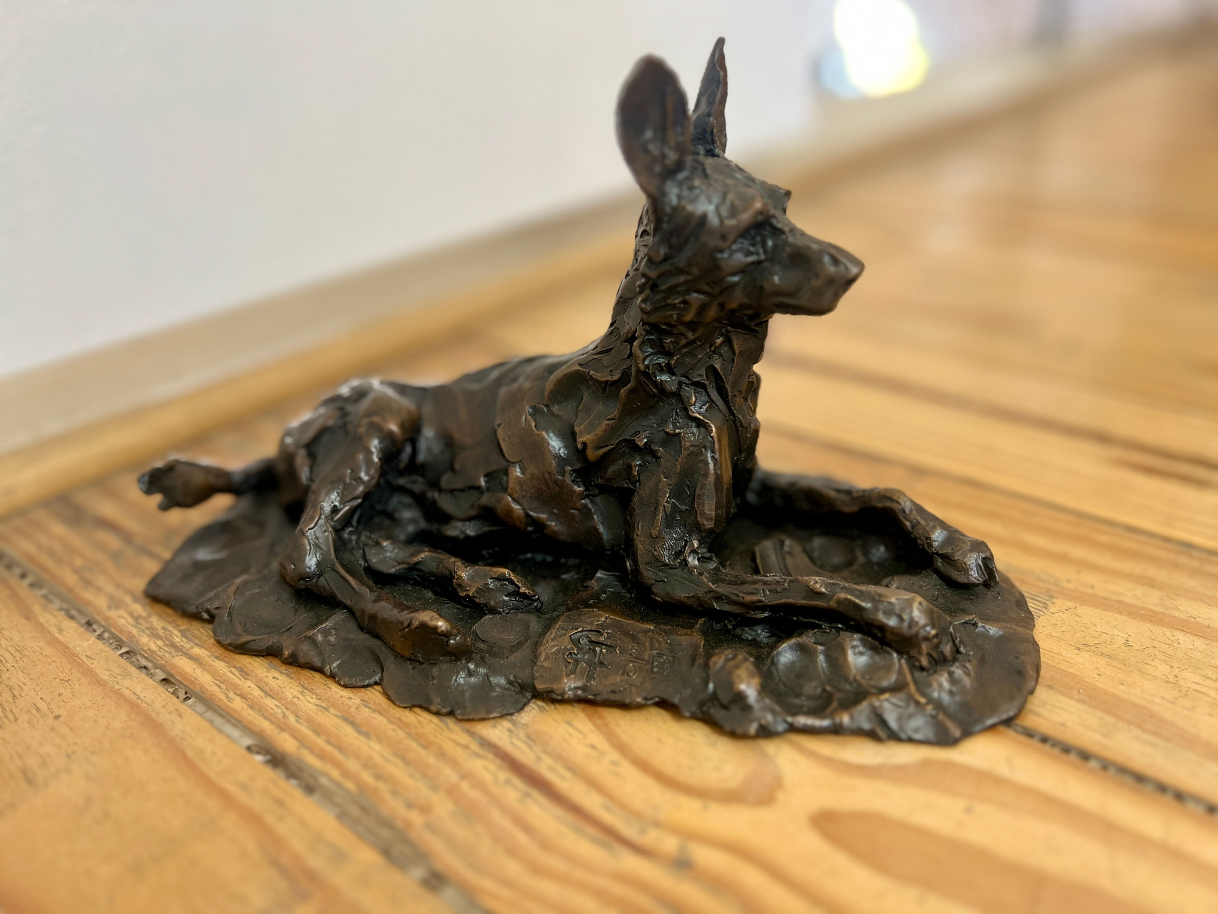 Frans Haasbroek - Wilddog 6 of 10