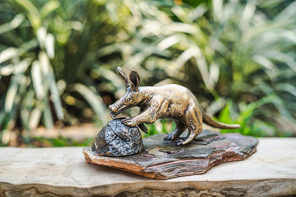 Thumbnail: Johan Van Der Merwe - Aardvark - Edition 1 of 25