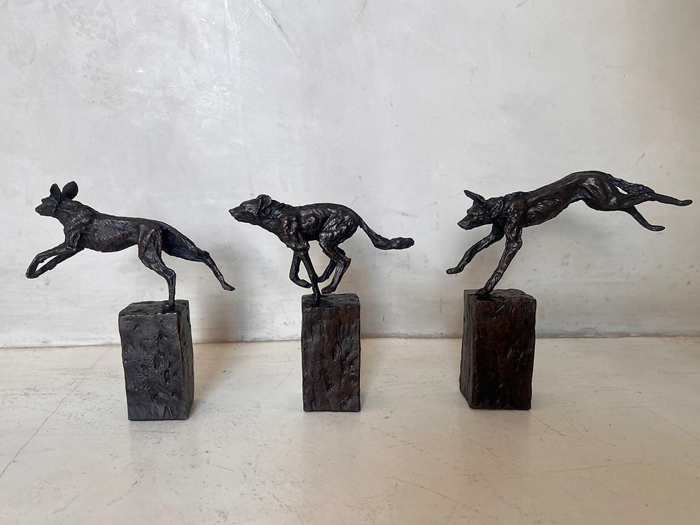 Thumbnail: Alan Ainslie - Painted Wolves