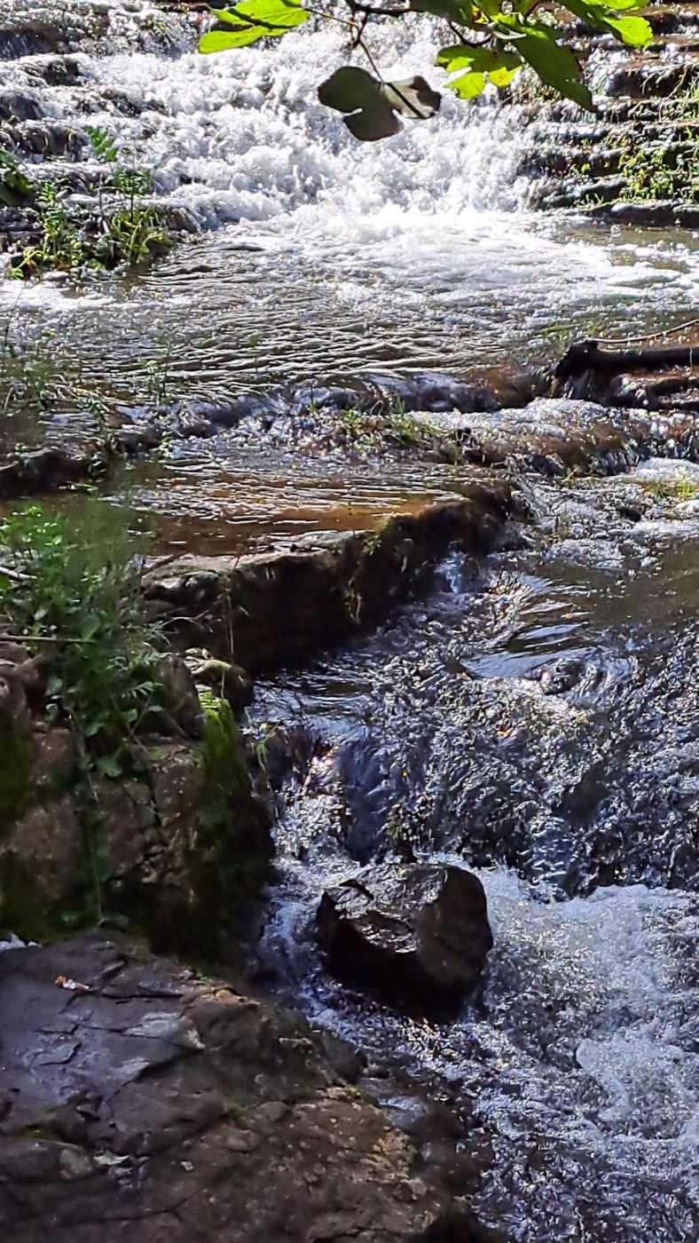 Close on the cascade, sunlit