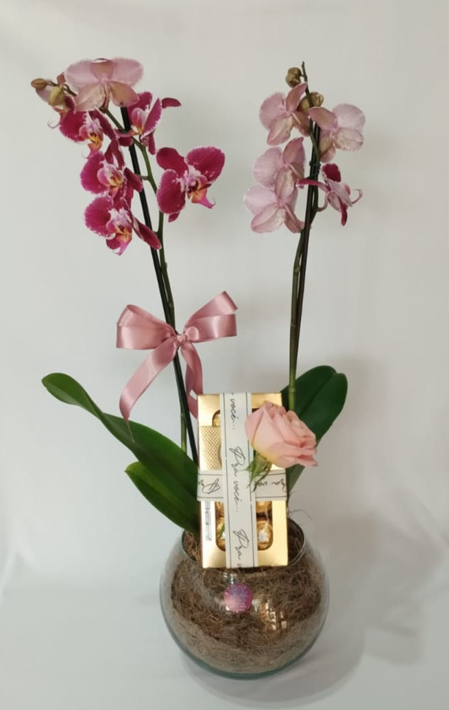 Miniatura: Orquídea duas astes com chocolate ferrero rocher