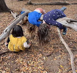 Children playing with a self-made wood structure