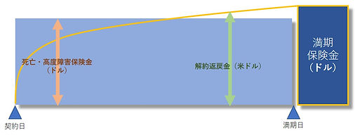 外貨建て養老保険