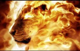 lions 3.jpg