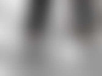 Jejak Waktu: Eksplorasi Sejarah Panjang Brand Sepatu Adidas dan Puma