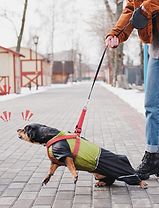 Untitled (840 x 1080 px).png