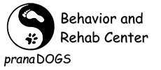pD Logo DEC23 Black Transparent.png