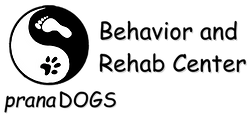 pD Logo DEC23 Black Transparent_edited.png