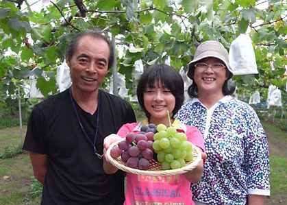 平果樹園 | 田主丸ぶどう狩りナビ！