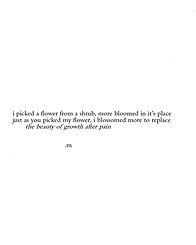 IMG_3847.jpeg