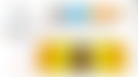 Matéria sobre "O Ciclo da Vida" na Aratu Online