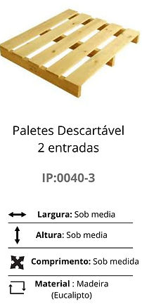 Palete Descartavel  2 entrada_edited_edi