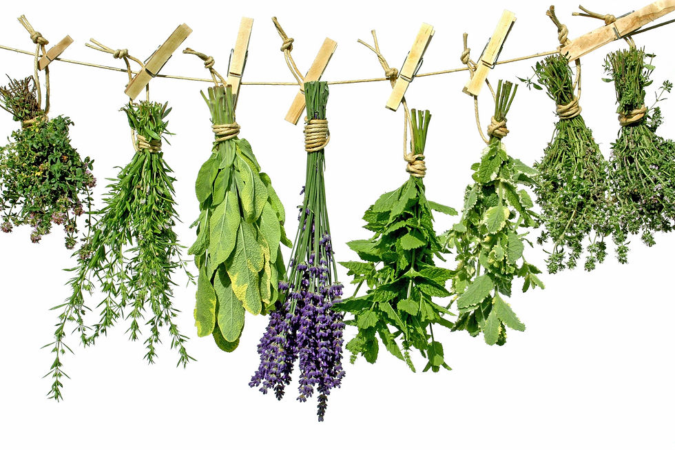 Herbs