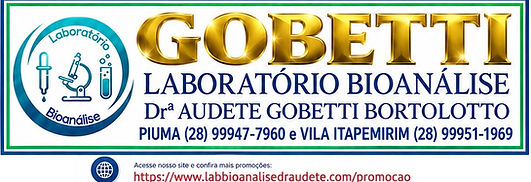 novo cabeçalho dourado.jpg