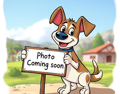A cartoon dog holding a sign that says photo coming soon.jpg