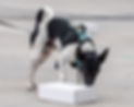 197140093_10218727181277475_7961925275575808403_n.jpg