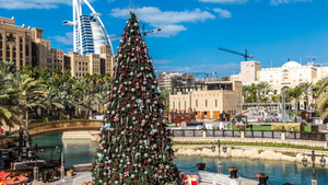 Christmas Guidelines