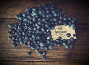 Blueberry Farm