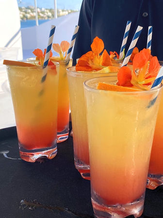 Rugby Special Mini Cruise aboard ÜberVida in Bermuda on November 9 and November 12, 2026, featuring a 1.5-hour cocktail cruise from 5:00 PM to 6:30 PM celebrating Bermuda Rugby Weekend with drinks, music, and scenic ocean views.