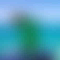 First Dip Bermuda Day ÜberVida Summer Swimming Cruise Yacht