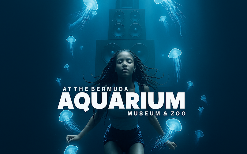 UNDERWATER—Afrobeats and Amapiano | ÜberVida - Bermuda