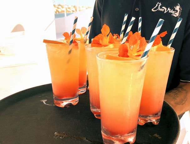 Bermuda Charter Wedding De-Compression Day Ubervida