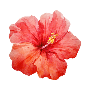 Bermuda Cruise Wedding Boat Charters Übervida Destination Wedding