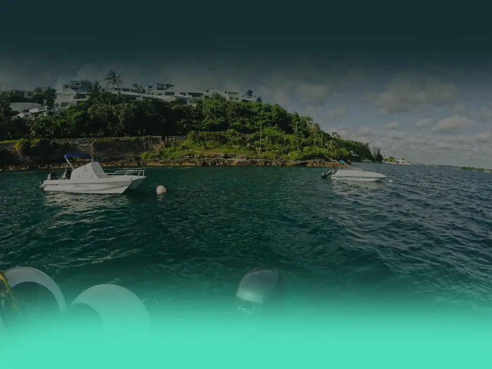 Bermuda Mooring