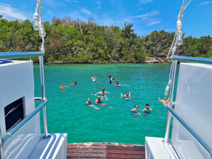 Double Dip ÜberVida Bermuda Swimming Cruise Party