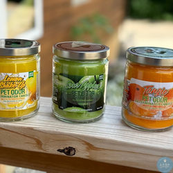 pet odor exterminator candles