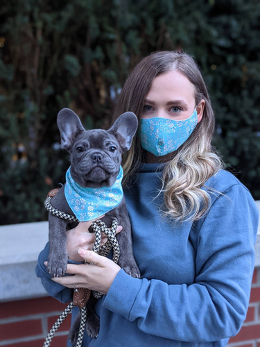 Bandana (pets) image 1