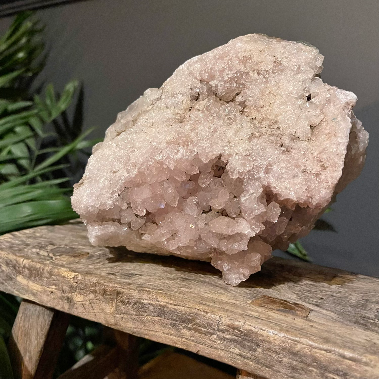 Large Pink Amethyst Cluster