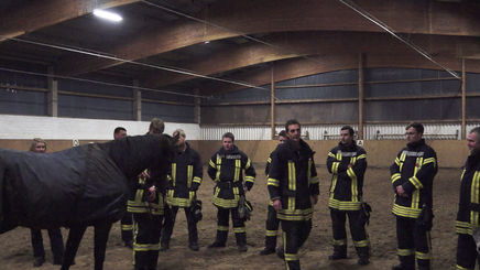 Die Feuerwehrmänner und die Pferde