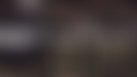 Die Feuerwehrmänner und die Pferde