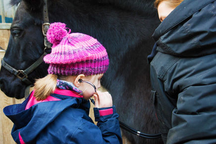 Die Vita-Farm im neuen Glanz.