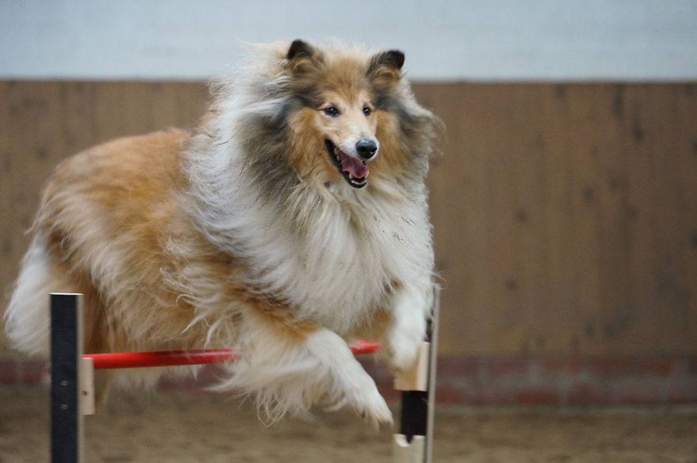 Urlaub auf der Vita-Farm (NRW)