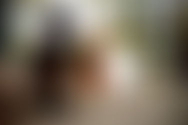 Wer steht denn da neu auf dem Hof?