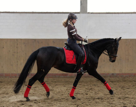 Julia, Cyriak und Püppi