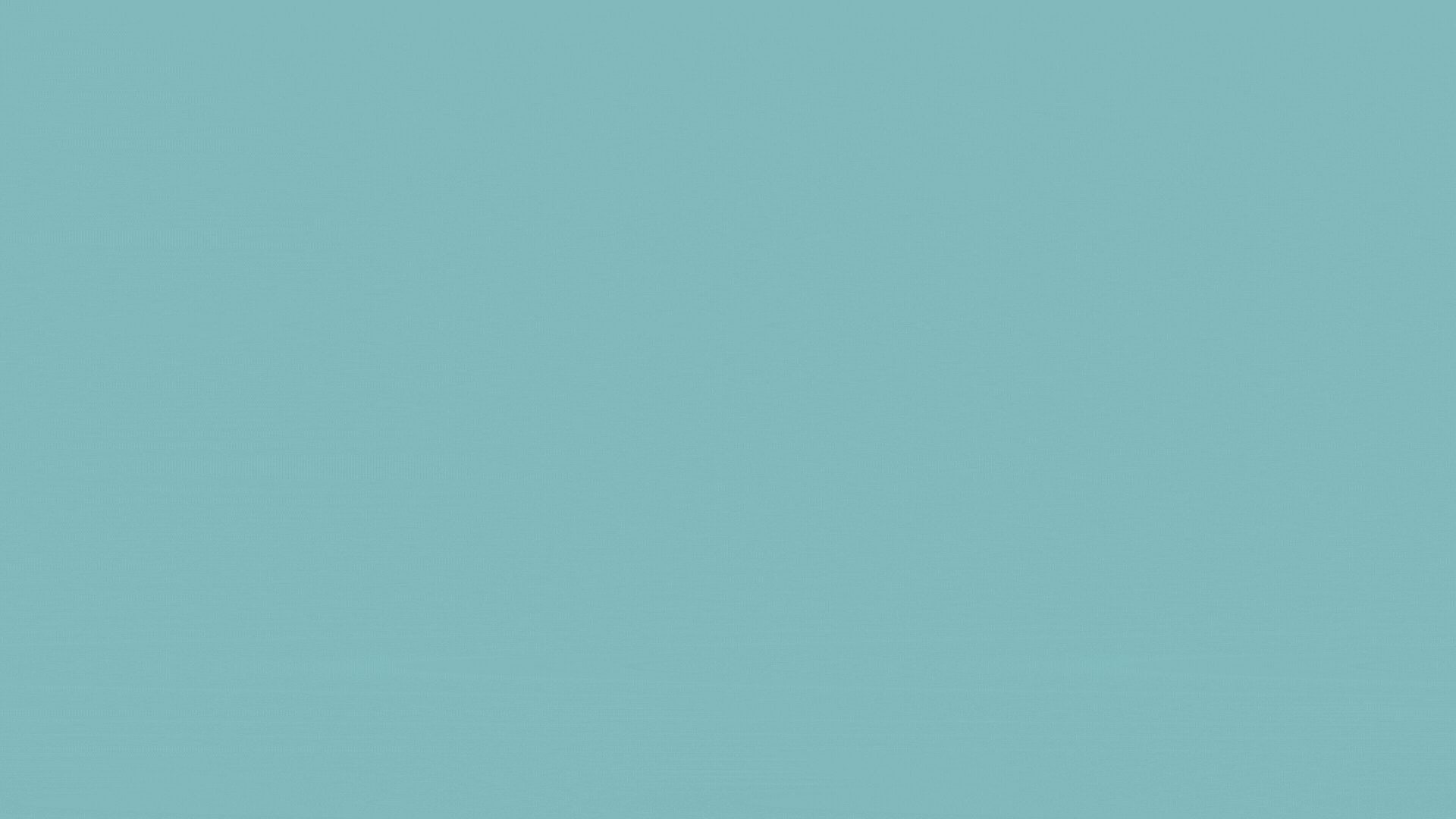ללא שם (סרטון) (מצגת (169)) (4).gif