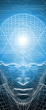 Digital Brain Interface