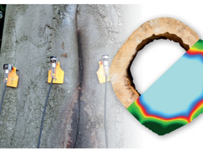 Tree tomography - Arborsonic