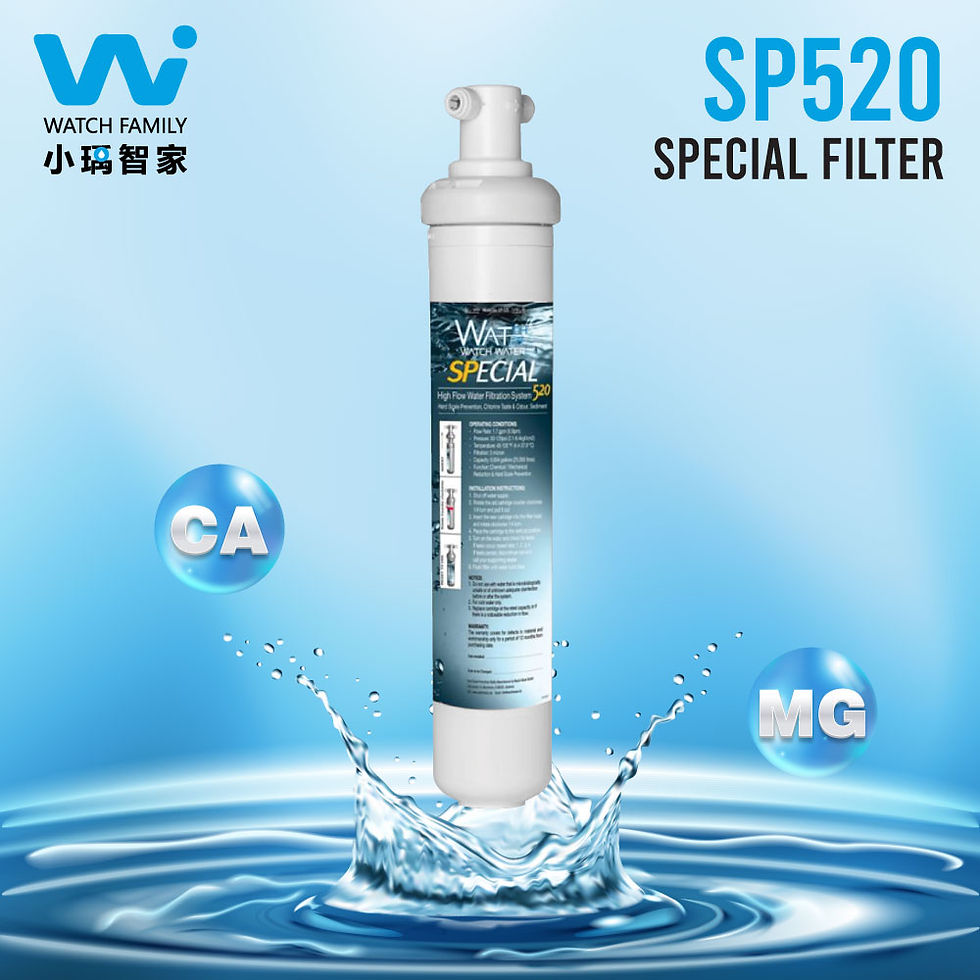 Thumbnail: water filter system_Special Filter