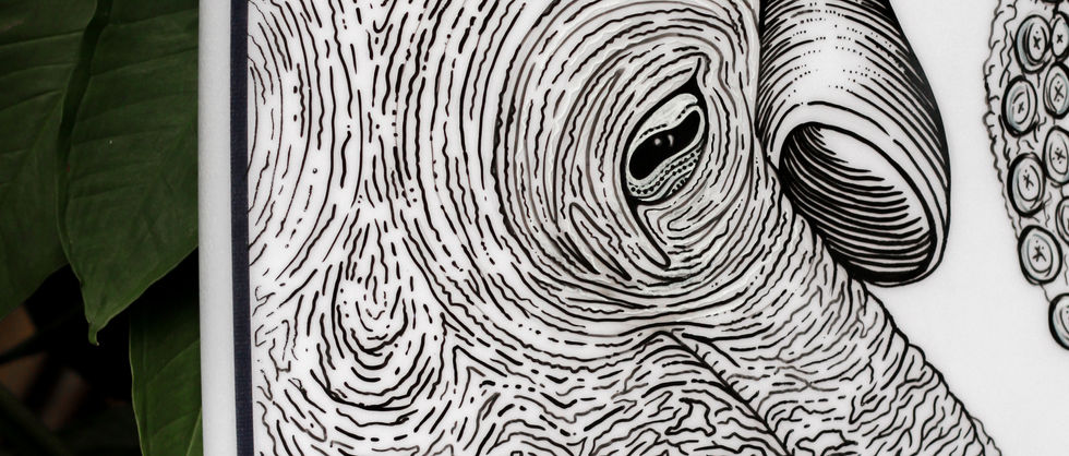 ripptide surfboard art, firewire rob machado + lft surfboards