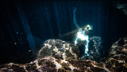 Jessica Ripp Sharks Cove